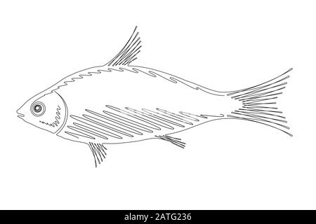 Silhouette of a fish in one continuous line style for your design. For cafe, shop, restaurant signboard or emblem. Stock Vector