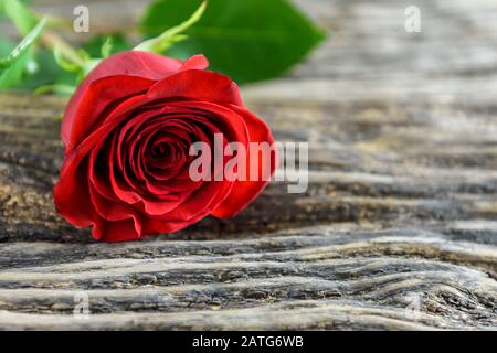 Beautiful red rose on an old wooden table with copy space for text. Selective focus. Stock Photo
