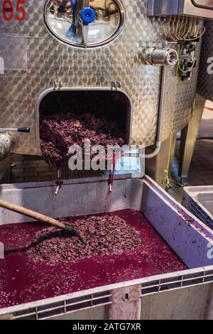 Pigéage, French Wine-making Process In Italian Winery Stock Photo - Alamy