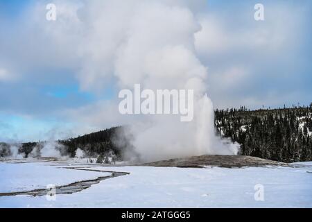 The Old Faithful geyser erupts in a winter day, spewing steam and hot water high in the sky. Yellowstone National Park, Wyoming, USA. Stock Photo