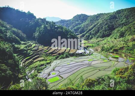 Beautiful rice terraces in Bontoc, Philippines Stock Photo