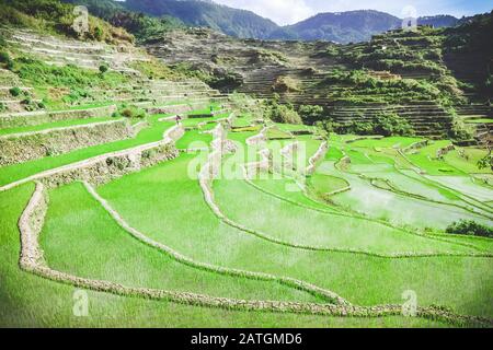 Beautiful rice terraces in Bontoc, Philippines Stock Photo