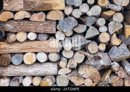 well tidied firewoods and put to dry for winter Stock Photo