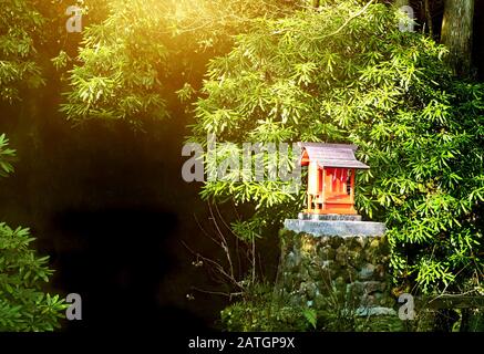 Small shinto altar in the morning forest, Japan. Sunny mysterious oriental background. Copy space for text. Mock up template. Stock Photo