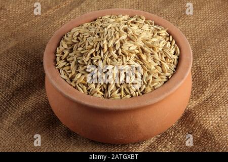 barley in earthen pot Stock Photo