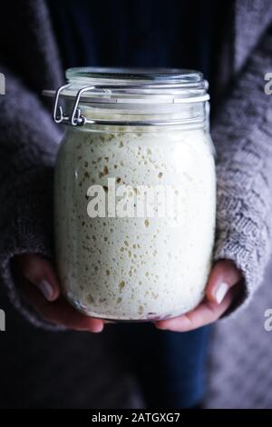 Rye and wheat sourdough starter in glass jars. Stock Photo