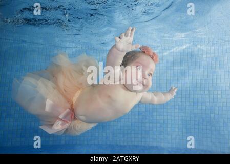 Cute Chubby Little Girl Dives Underwater In A Swimming Pool Stock Photo Alamy