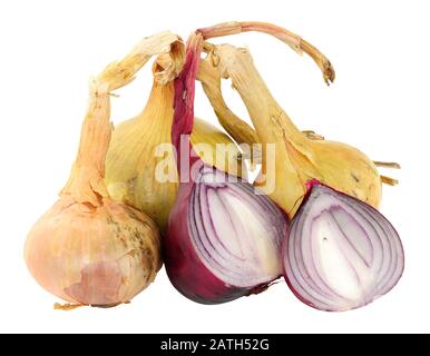Fresh home grown organic onions isolated on white background Stock Photo