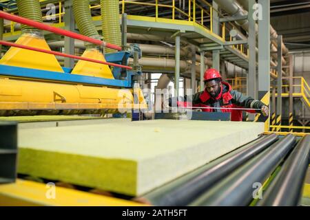 Busy Afro-American worker in red helmet using tape measure while checking size of stone wool on conveyor belt Stock Photo