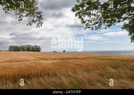 Ferme Sous Un Ciel Nuageux Stock Photo Alamy