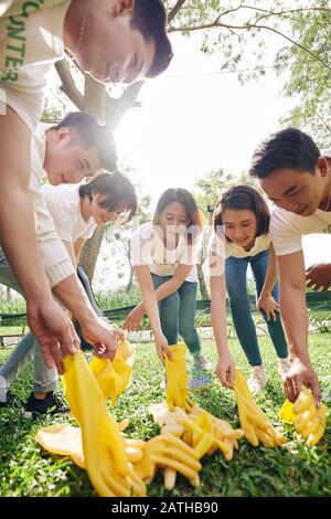 Group of young volunteers putting on rubber gloves before picking up garbage in park and planting trees Stock Photo
