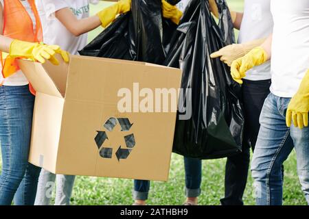 Volunteers sorting trash they collected in park and filling cardboard box for recycling and plastic bags for dump Stock Photo