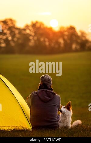 Dogcamping in the nature at morning hour, man and his dog sitting beside the tent Stock Photo
