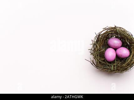 Pink Easter Eggs in a nest with a colourful background Stock Photo