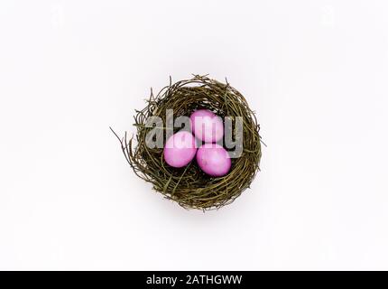 Pink Easter Eggs in a nest with a colourful background Stock Photo