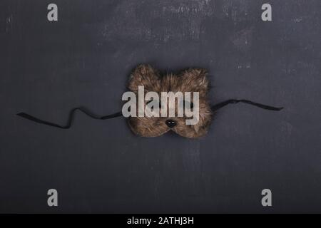 Bear mask on dark gray background. Carnival party concept. Stock Photo