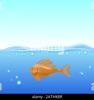 Red Fisn Swims on a Blurred Sea Background Stock Vector