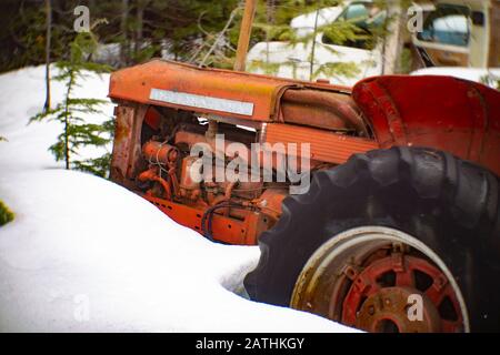 An old, red 1958 or 1959 International Diesel tractor in the snow, in a wooded area, in Noxon, Montana. Stock Photo