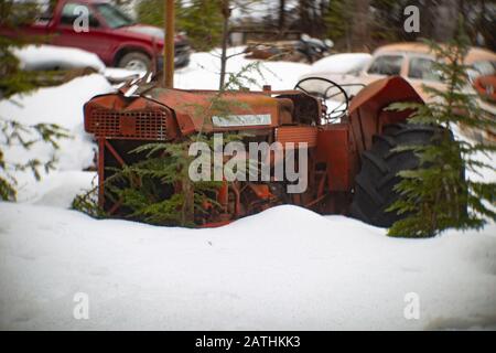 An old, red 1958 or 1959 International Diesel tractor in the snow, in a wooded area, in Noxon, Montana. Stock Photo