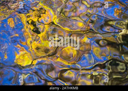 Autumn foliage colour reflected in water, Bolam Lake Country Park, Northumberland, England Stock Photo