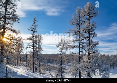 Winter landscape in South Yakutia, Russia, on a frosty sunny day Stock Photo