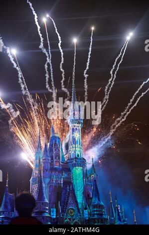 Orlando, USA - january 19, 2020: People look at firework magic kingdom amusement park in night time Stock Photo
