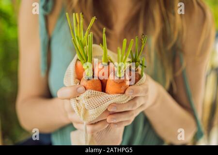 Carrot in a reusable bag in the hands of a young woman. Zero waste concept Stock Photo
