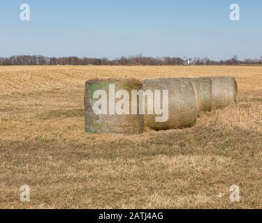 Large, round grass hay bales in waterway of cornfield after harvest Stock Photo