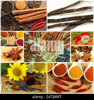 Various spices in collage composition Stock Photo