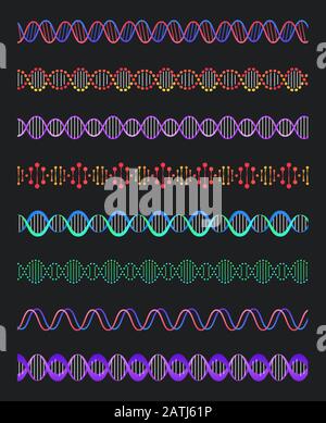 DNA molecule - line design style vector elements Stock Vector