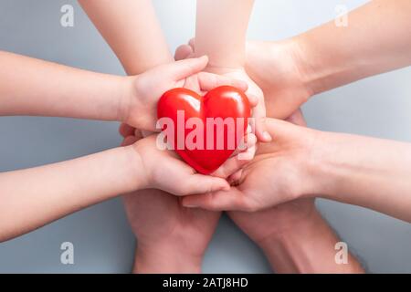 An adult, mother, father and child hold a red heart in their hands. Concept for charity, health insurance, love, international cardiology day. Stock Photo