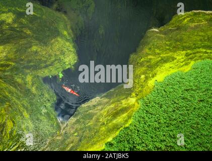 Aerial view of red kayak in the delta Stock Photo