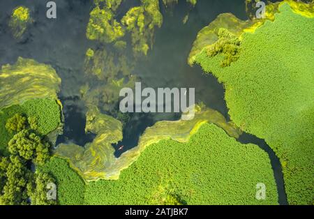 Aerial view of kayaks in the still watwers of the delta Stock Photo