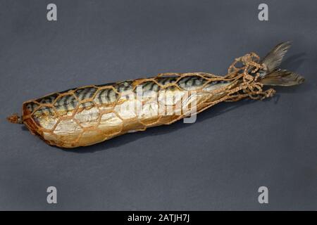 hot smoked mackerel in a grid on a black background. headless fish carcass in a smoking net. smoked fish top view. Stock Photo