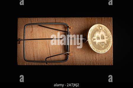 Bitcoin coin in a mousetrap isolate on a black background. Stock photo bitcoin news.