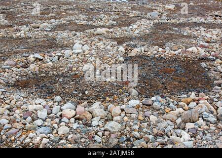 Partially melted and collapsed lithalsas - heaved mounds found in permafrost - left circle-like structures on the tundra, Svalbard Archipelago, Norway Stock Photo