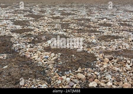 Partially melted and collapsed lithalsas - heaved mounds found in permafrost - left circle-like structures on the tundra, Svalbard Archipelago, Norway Stock Photo
