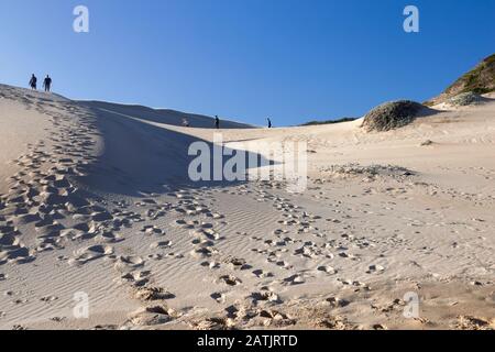 People walking across the towering sand dunes of Sardinia Bay near Port Elizabeth, Eastern Cape, South Africa Stock Photo