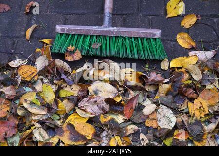 Close-up of leaves and a garden brush. Autumn cleaning around the house. Stock Photo