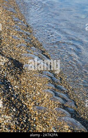 Many small dead jellyfish glisten on the edge of the surf on a pebbly beach of small pebbles. Stock Photo