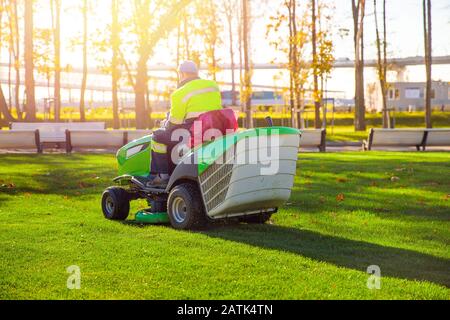 Gardener worker on lawn mower tractor cuts green grass Stock Photo
