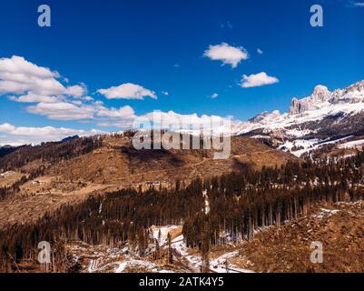 Deforestation in Alps mountains, Italy. Felled tree trunks on background of Dolomites. Aerial view