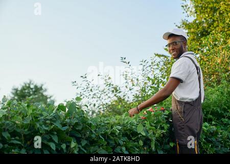 Afro american young guy in special overall, summer hat and protective glasses smiling and looking at camera while working with gardening equipments outdoors. Gardening and cutting activities Stock Photo