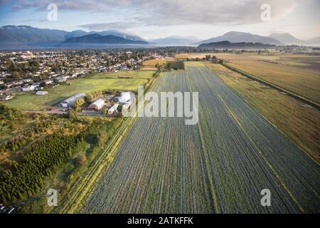 Aerial view of farm fields in Chilliwack, British Columbia. Stock Photo