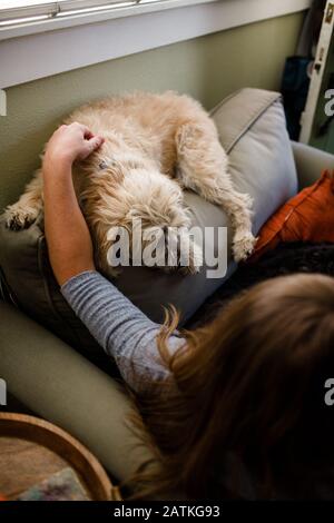 Mid 40's Woman Sitting on Chair with Her Two Large Dogs Stock Photo