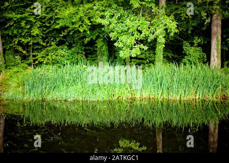 Saint-Aignan (Breton: Sant-Inan) is a commune in the Morbihan department of Brittany in north-western France. Village of Morbihan in Brittany, Saint-A Stock Photo