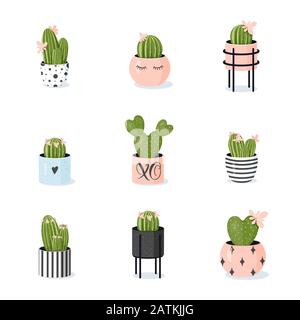 Cactus collection. Potted blooming cacti in cute stylish modern flowerpots. Stock Vector