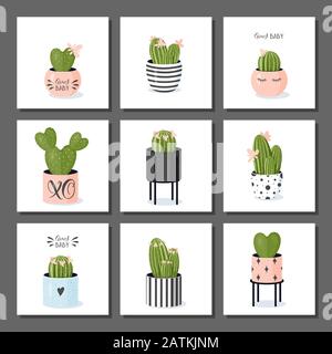 Cactus collection. Potted blooming cacti in cute stylish modern flowerpots. Stock Vector