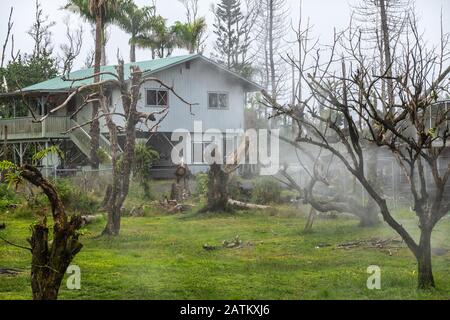 Leilani Estate, Hawaii, USA. - January 14, 2020: Devastation in parts untouched by 2018 lava. Dead trees and poisonous gases and vapors engulf abandon Stock Photo