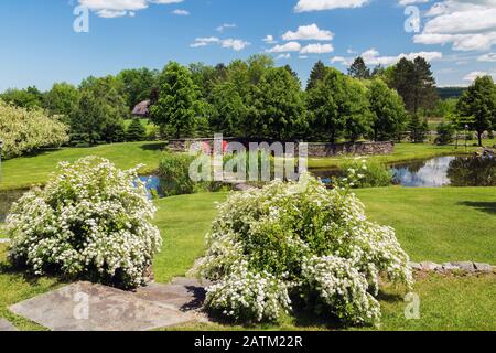 Natural stone path and steps  bordered by Spiraea prunifolia 'Bridal Wreath' - Spirea with white flowers in residential backyard garden with pond Stock Photo